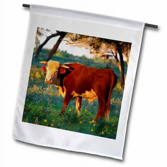 3dRose, Herford bull cow, pasture near Gonzales, Texas, USA - US44 LDI0938 - Larry Ditto, 18 x 27 inch Garden Flag