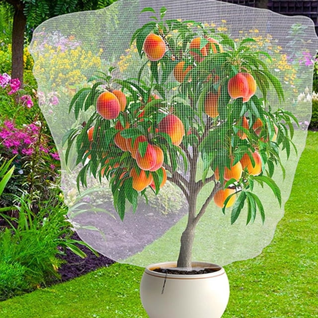 Cubierta protectora de red para plantas de árboles frutales con cordón cubierta para el cuidado de frutas de jardín