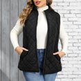 thumbnail image 3 of DISKEBUISS Plus Size Quilted Puffer Vest for Women Stand Collar Sleeveless Zip Up Gilet with Pockets for Fall Winter, 3 of 7