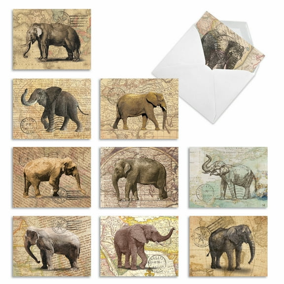 10 Assorted All Occasion Blank Note Cards Pack - Trunk Mail