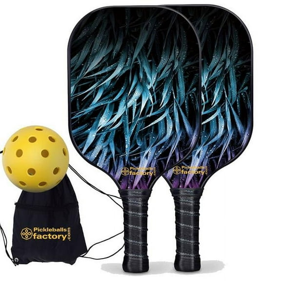 Pickleball Factory PB00045-1-C Pickleball Starter Set - Leaves Pickleball Paddles, Portable Picklenet, Carbonfiber Graphite
