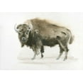 thumbnail image 2 of Wiens, James 18x14 White Modern Wood Framed Museum Art Print Titled - Buffalo Bill, 2 of 4