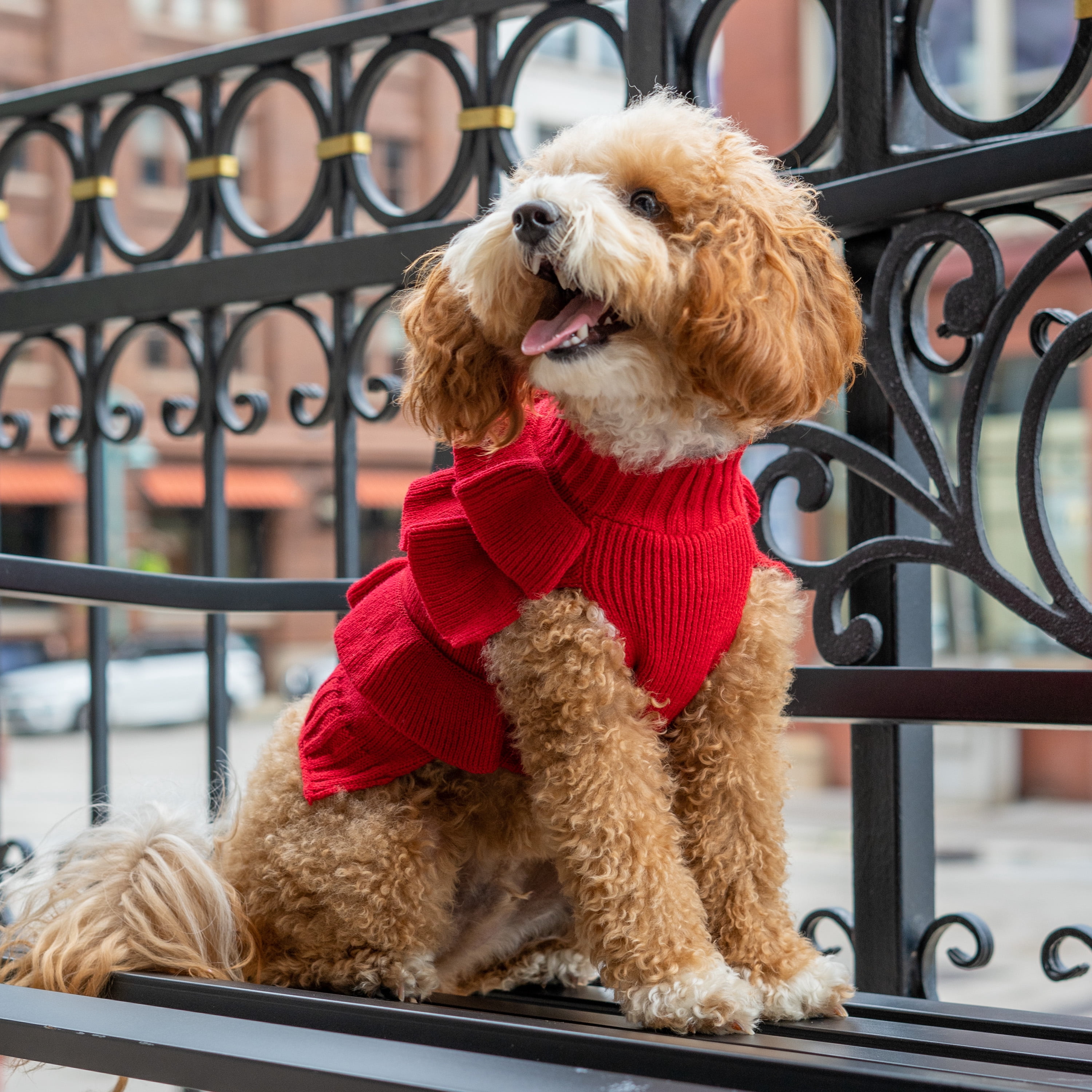 Christian Siriano, Dog Clothes Ruffle Dog or Cat Sweater, Red, S