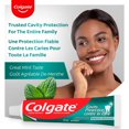 thumbnail image 3 of Colgate Cavity Protection Fluoride Toothpaste, Winterfresh 95ml, 3 of 4