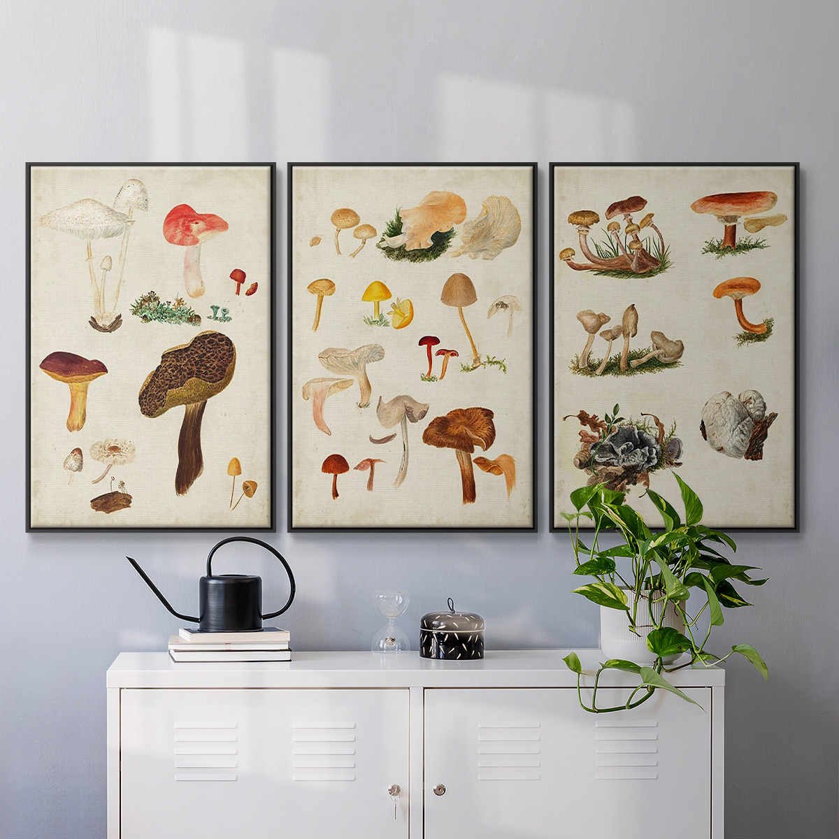 Mushroom Species X - Framed Premium Gallery Wrapped Canvas L Frame 3 Piece Set - Ready to Hang