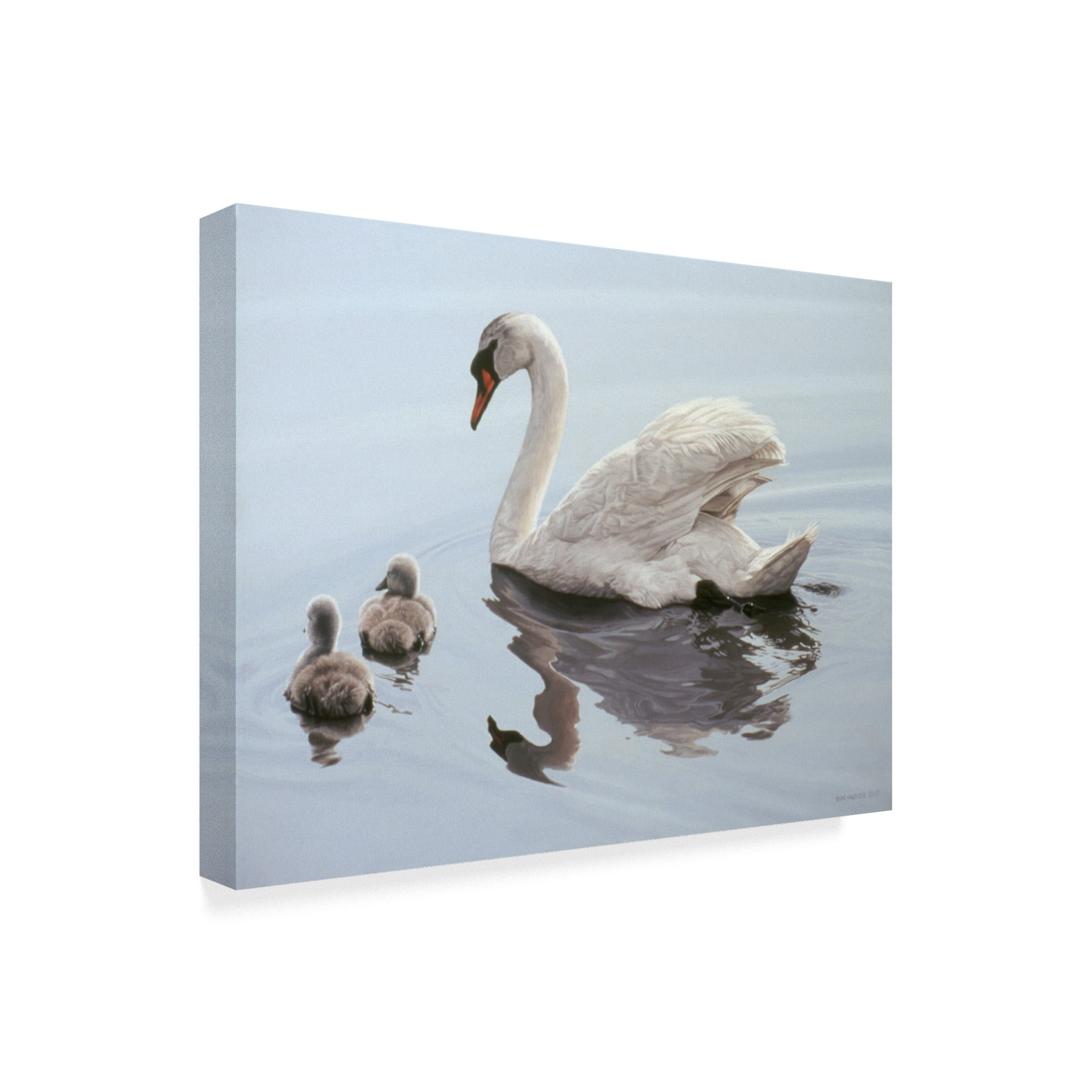 Trademark Fine Art 'Mute Swan And Two Cygnets' Canvas Art by Ron Parker