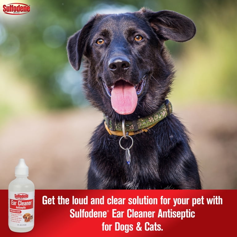 Sulfodene Ear Cleaner Antiseptic Solution, 4 oz photo 2