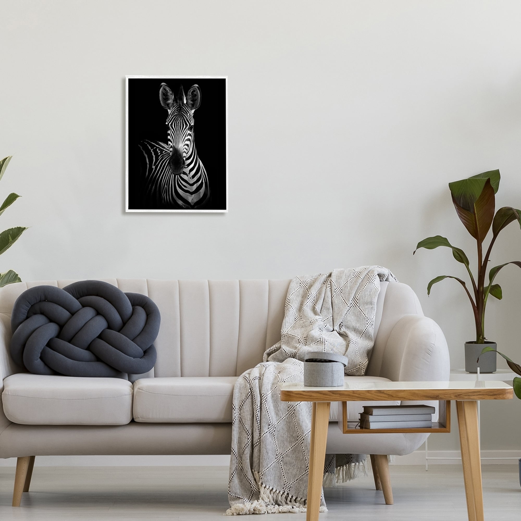 Stupell Industries Striking Greyscale Monochrome Zebra Photography Portrait , 16 x 20, Design by Incado
