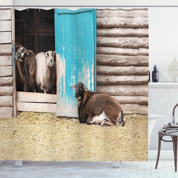 Farm Animal Shower Curtain, Agriculture Photo with Cute Sheep in Rustic