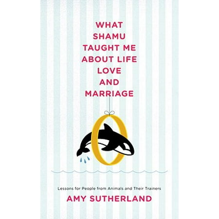 What Shamu Taught Me About Life, Love, and Marriage -