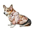 thumbnail image 7 of Xecao Colorful Seashells Pattern Sweatshirts Winter Pet Dog Hoodie Puppy Coat Dog Sweaters Dog Clothes with Hat Dog Clothes Costume Outfit,Small Pets Wear-X-Small, 7 of 7