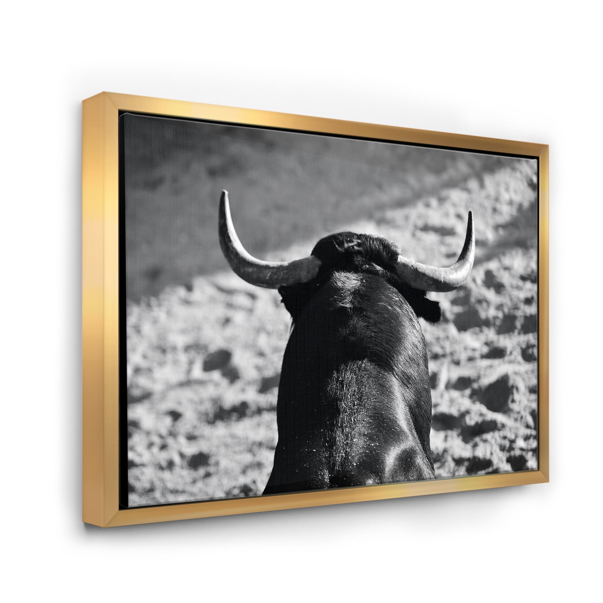 Designart 'Black and White Portrait Of A Spanish Bull II' Farmhouse Framed Canvas Wall Art Print