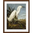 thumbnail image 2 of Art.com Snowy Heron or White Egret / Snowy Egret (Egretta Thula), Plate CCKLII, from 'The Birds of America' Giclee Print by John James Audubon, Brown Frame Wall Art, 17" x 21", 2 of 5