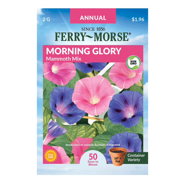 Ferry Morse Mammoth Mix Morning Glory Seeds Since 1856 Non Gmo Guaranteed Fresh Annual Flower Gardening Seeds Walmart Com Walmart Com