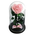 thumbnail image 2 of Plantas Flores Artificiales, Rosas Preservada, Cúpula de Cristal Rosado, 2 of 9