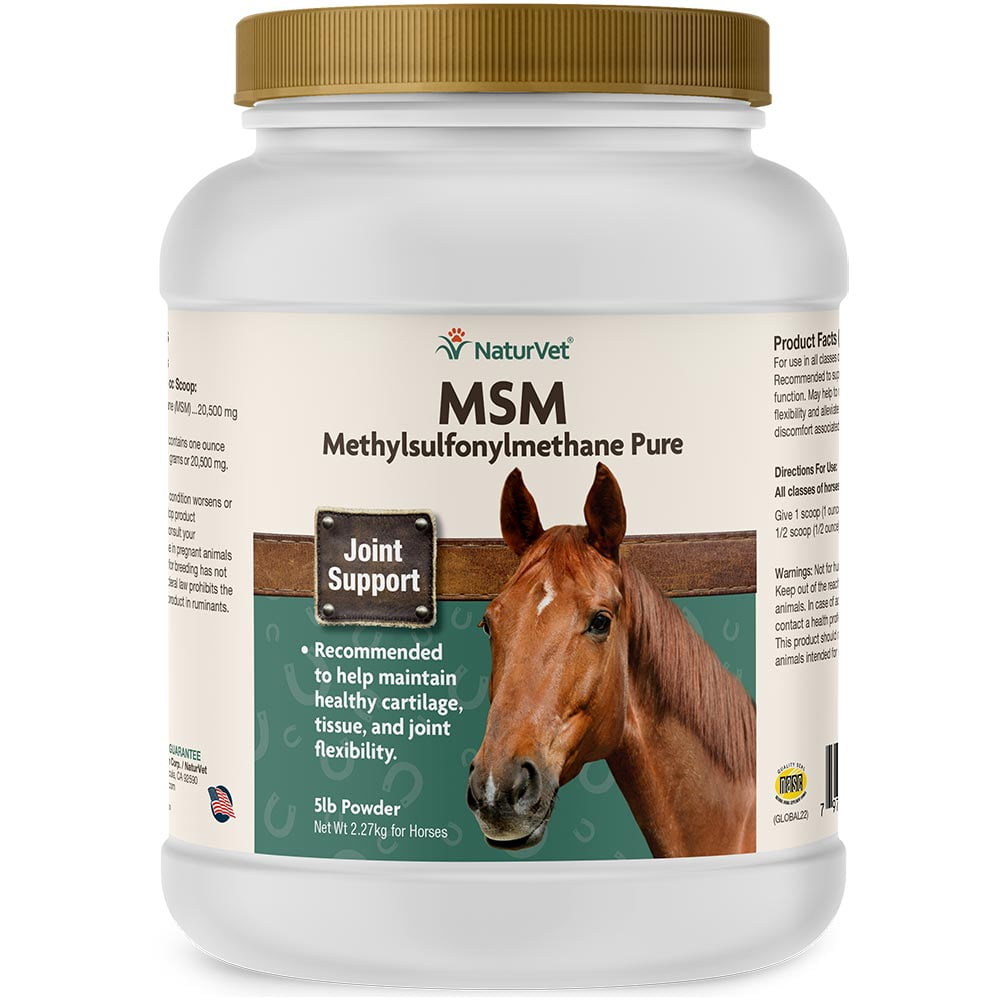 MSM Pure Powder for Horses