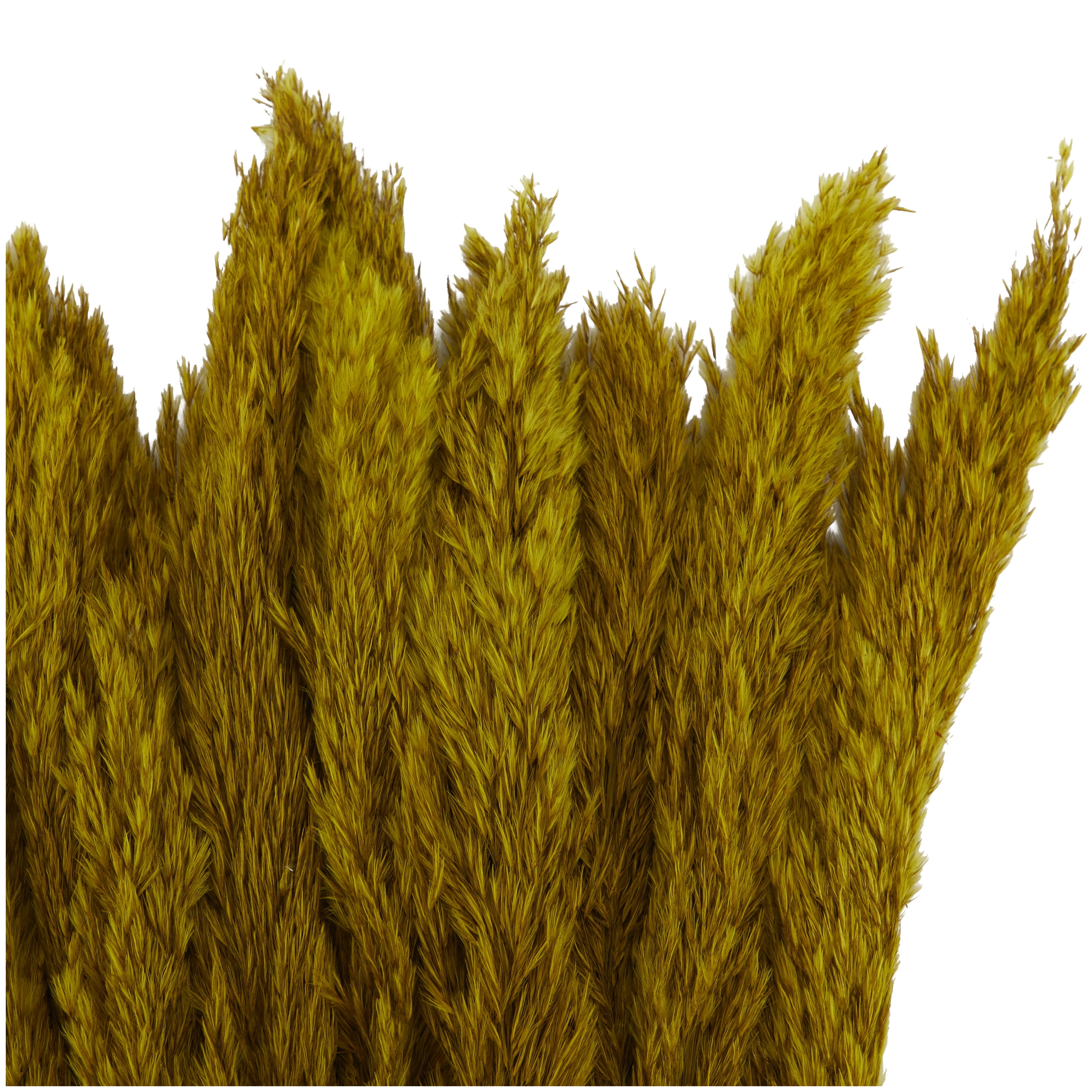35" Dried Plant Natural Foliage Pampas Bouquet with Long Stems, by DecMode