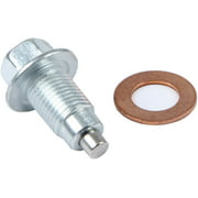 Champ Pans DP Drain Plug and Washer