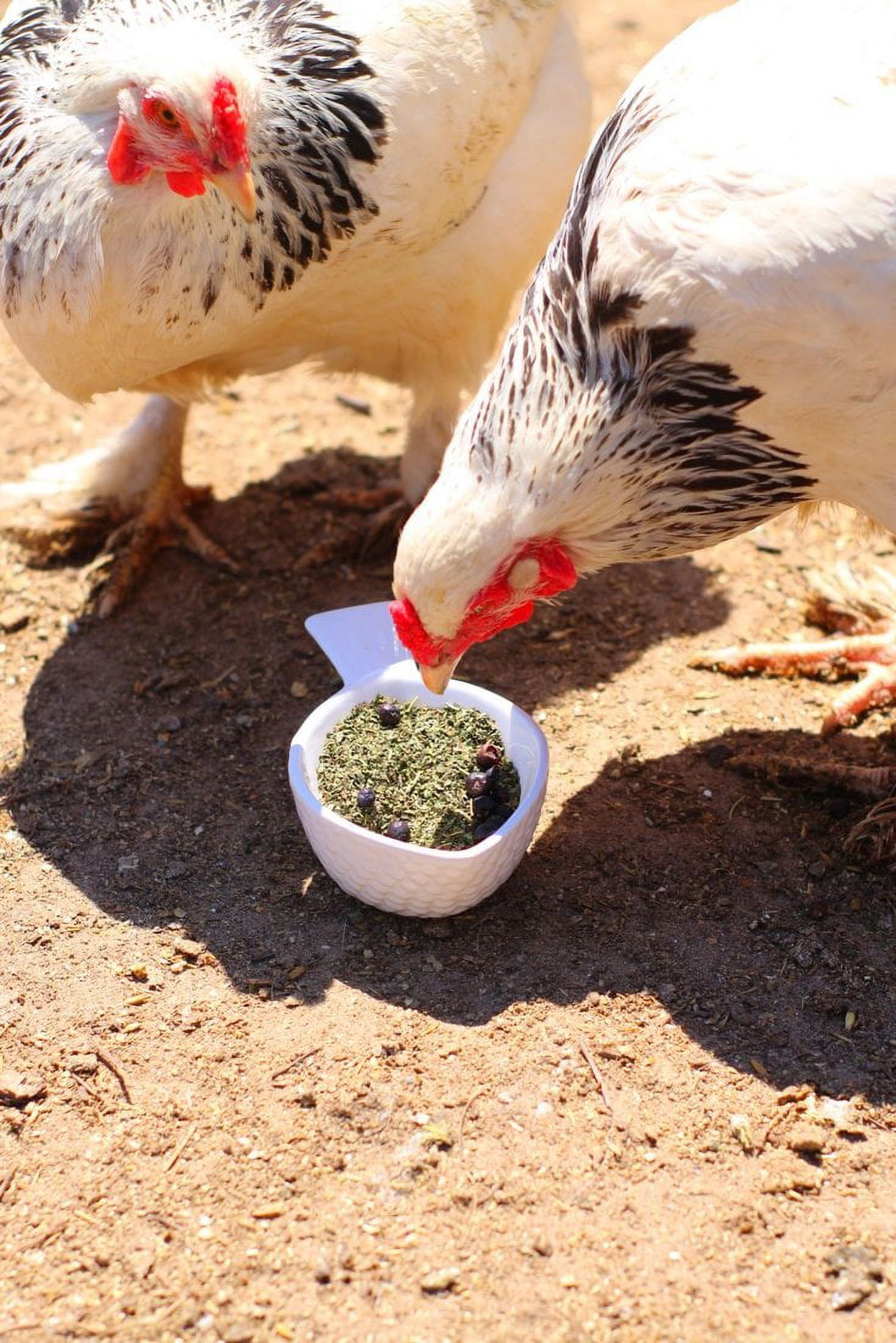 MitesBGone Herbal Blend For Nesting Boxes Or Dust Baths