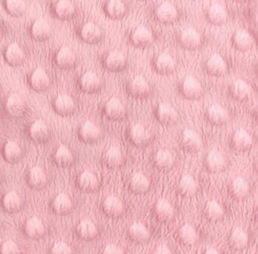 Hudson Baby Infant Girl Plush Sleeping Bag, Sack, Blanket, Light Pink Dot Mink, 12-18 Months