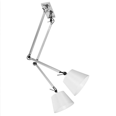 Dainolite 2 Light Adjustable Arm Fixture, Silver Finish