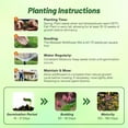 thumbnail image 4 of Outsidepride Midwest Wildflower Mix Flower Seeds, 4 of 5