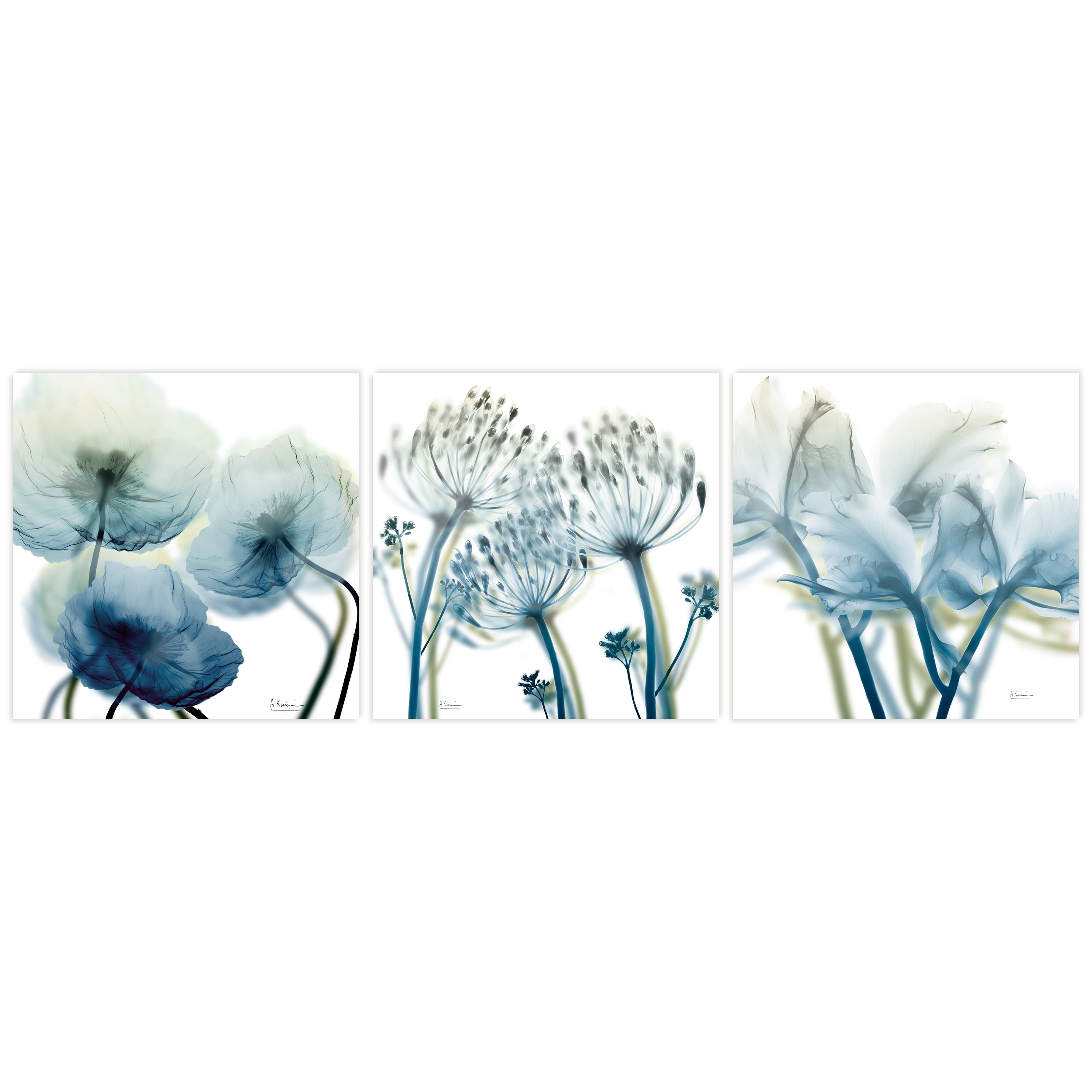 Unfocused Beauty Triptych 24 in x 24 in Painting Art Prints, by Empire Art Set of 3