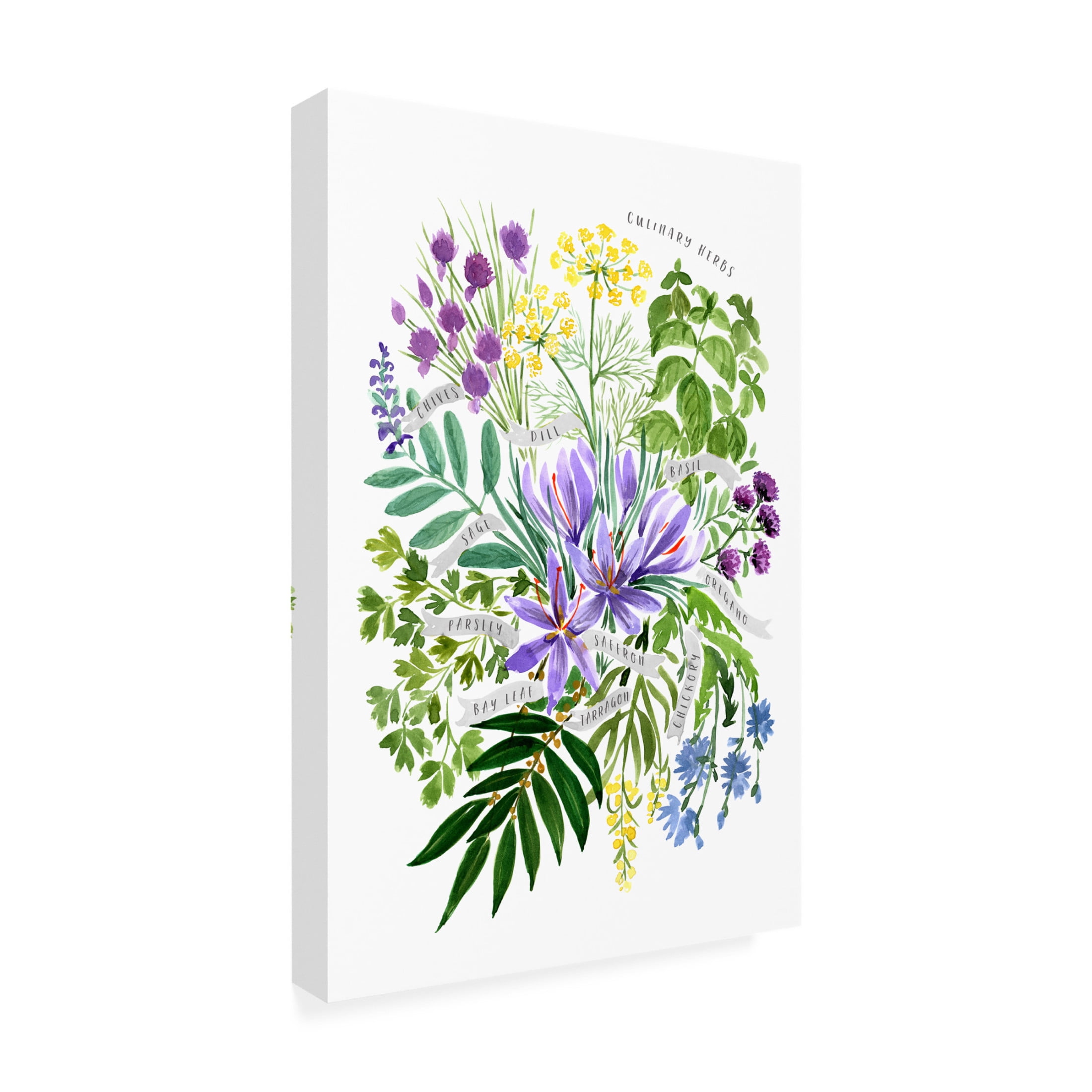 Trademark Fine Art Rosana Laiz Blursbyai Culinary herbs Canvas Wall Art