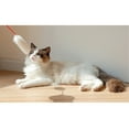 thumbnail image 4 of Varita De Juguete Para Gatos De Felpa, Varita Flexible Resistente A Las Mordeduras Para Gatos Con Material De Piel De Conejo Sintética, Varilla De PC Para Entrenamiento, 4 of 7