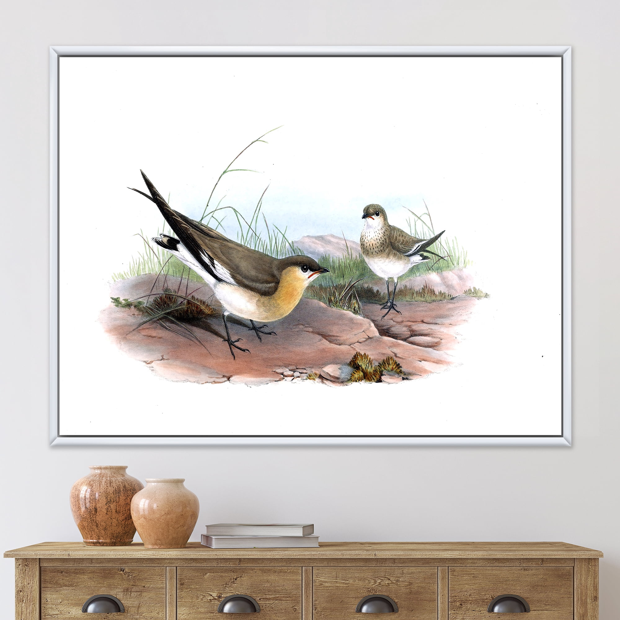 Designart 'Ancient Bird Illustration II' Farmhouse Framed Canvas Wall Art Print