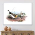 thumbnail image 2 of Designart 'Ancient Bird Illustration II' Farmhouse Framed Canvas Wall Art Print, 2 of 5