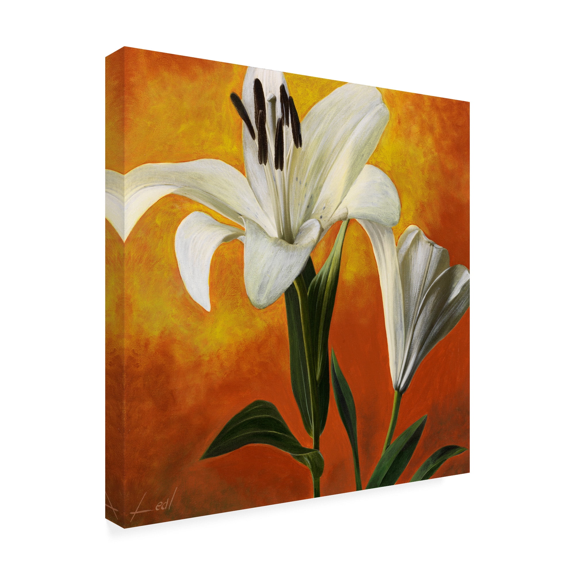 Trademark Fine Art 'White Flower Over Orange Light 1' Canvas Art by Pablo Esteban
