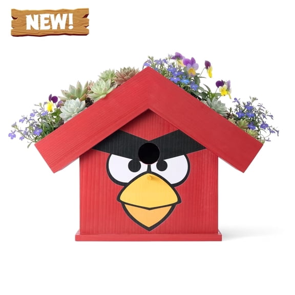 Wildyard x Angry Birds Cedar Birdhouse with Rooftop Planter 2-in-1 Outdoor Nest Box