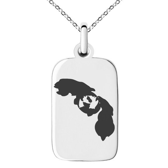 Stainless Steel 3rd Gen Beldum Metang Metagross Pokémon Engraved Small Rectangle Dog Tag Charm Pendant Necklace