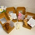 thumbnail image 4 of Mini Plush Teddy Bear in a Box, Inspirational Stuffed Animal Gift with Encouragement Card for Friends, Lovers, Kids, Valentine's Day, Birthday, Gift Idea (1 Plush Toy + 1 Card), 4 of 9