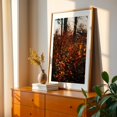 thumbnail image 2 of Orange Light - Photography Autumn Nature Botanical Scenic Forest Woodland Oak Framed Wall Art Print 24 x 36 inches, 2 of 59