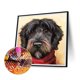 thumbnail image 1 of Cuadros Decorativos Buzón rojo Schnauzer 5D DIY Diamond Painting Kits Full Square Drill Art (F1185) Wdftyju embutido en tela, 1 of 9