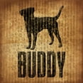 thumbnail image 3 of Grey, Jace 20x20 Black Modern Framed Museum Art Print Titled - Buddy, 3 of 5