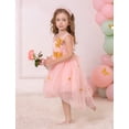 thumbnail image 6 of IBTOM CASTLE Toddler Baby Girls Birthday Party Dress Butterfly Embroidery Princess Tulle Tutu Wedding Pageant Evening Prom Ball Gown 3-4 Years Pink + Gold Butterfly, 6 of 8