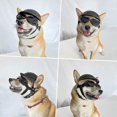 thumbnail image 5 of Dog Sunglasses And Helmet For Small Breed, Uv Protection Small Dog Goggles, Wind Proof Dog Motorcycle Helmet With Earhole, 5 of 5