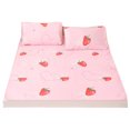 thumbnail image 3 of Loewten 2Pcs/Set Cartoon Pattern Foldable Summer Cooling Sleeping Mat Air Conditioning Mat With Pillowcase 195x90cm,Bed Mat,Pillowcase, 3 of 8