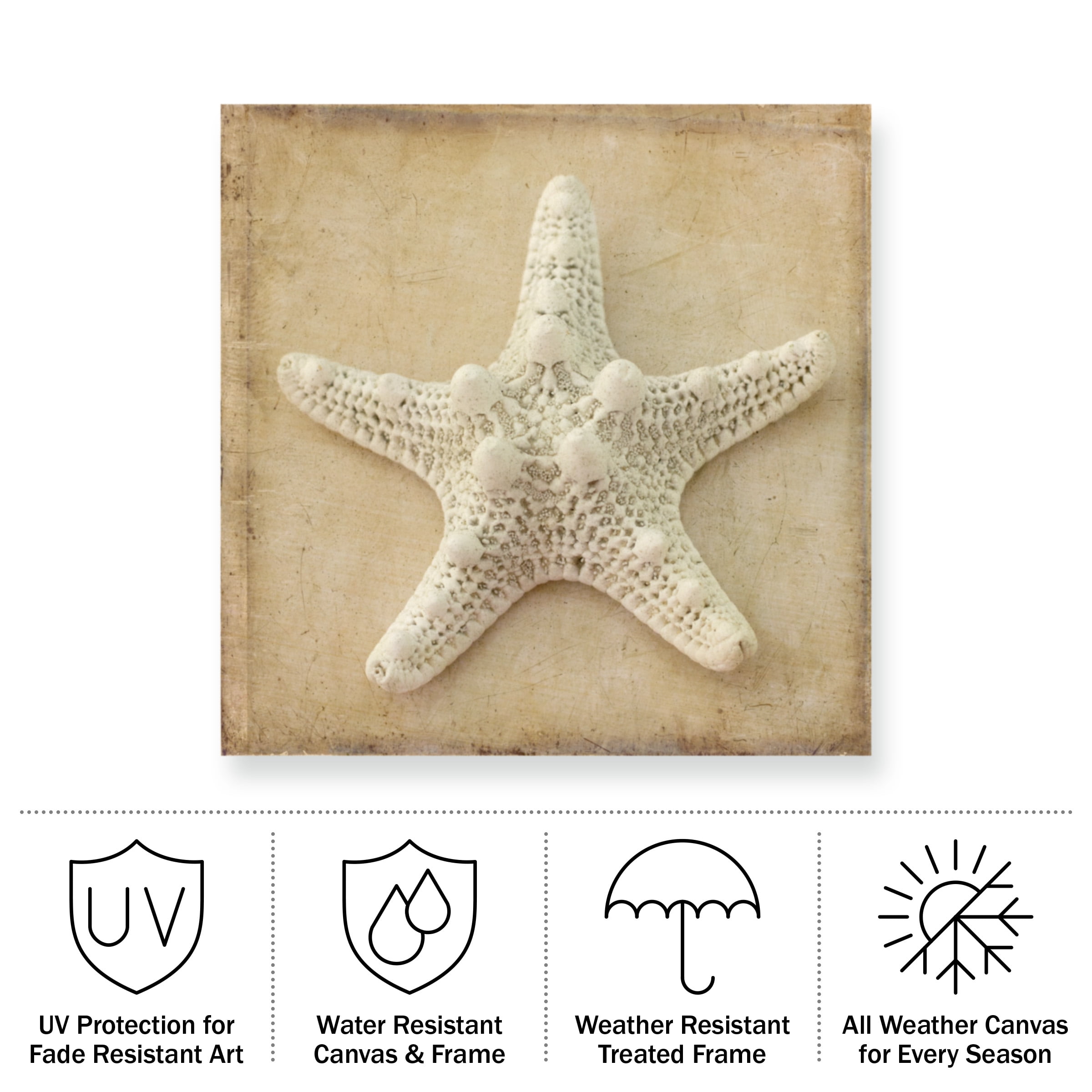 Judy Stalus 'Sepia Shell I' Outdoor Canvas 35x35