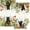 Style 4, variant on Black Cat & Potted Plant Themed Kitchen Towels and Hand Towels — 18 x 26 Inches | Featuring Cute Cactus & Botanical Patterns | Soft, Absorbent 100% Polyester Material | Ideal for Kitchen and Bathroom