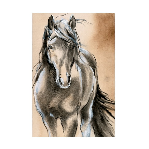Jennifer Paxton Parker 'Sketched Horse II' Canvas Art