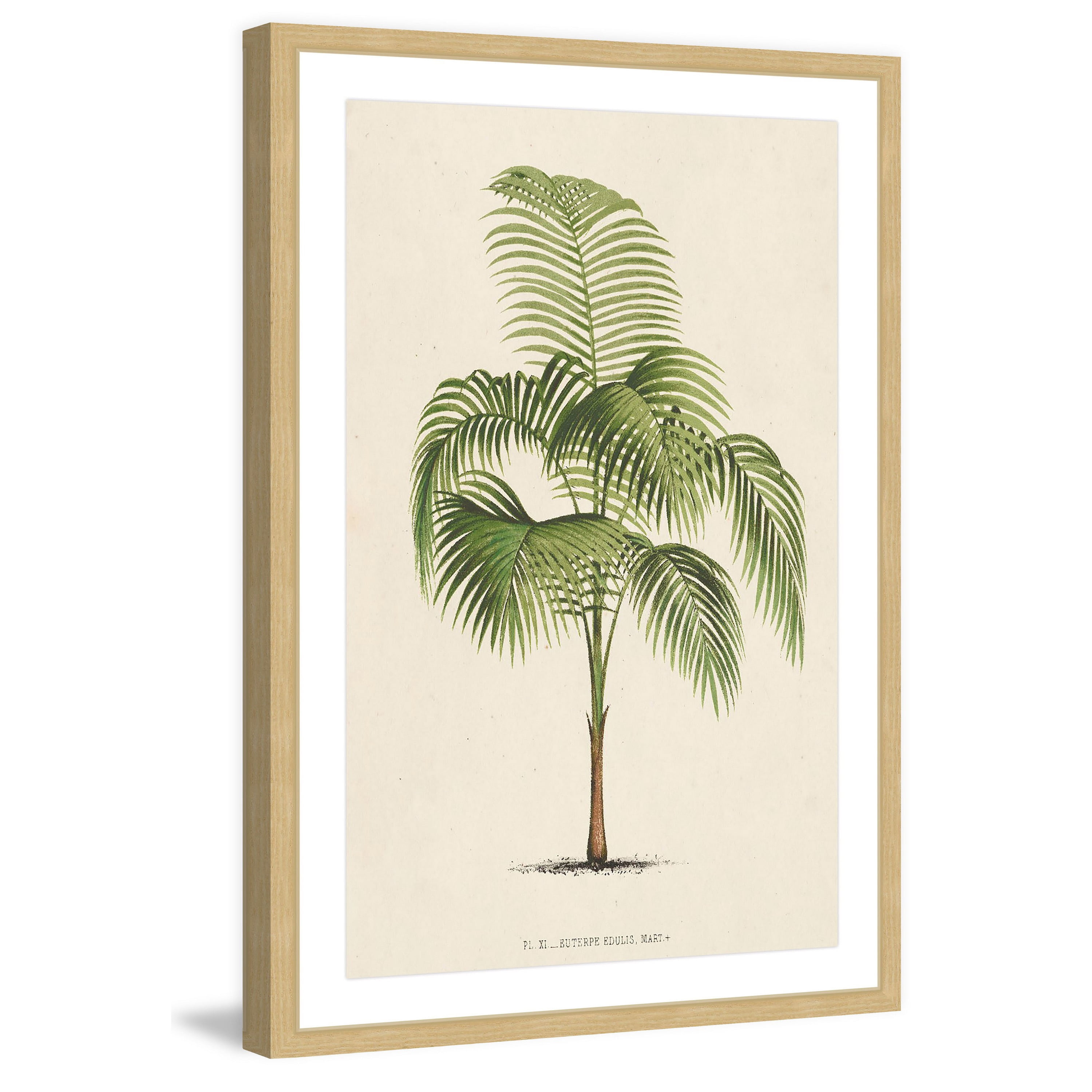 Marmont Hill "Les Palmiers I" Framed Painting Print