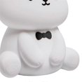 thumbnail image 5 of Silicone Teddy Bear Fun Night Light 3 Level Dimmable Nursery Light Colorful Warm White Sleeping Beside Lamp for Bedroom, 5 of 5