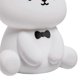 thumbnail image 5 of Silicone Teddy Bear Fun Night Light 3 Level Dimmable Nursery Light Colorful Warm White Sleeping Beside Lamp for Bedroom, 5 of 5