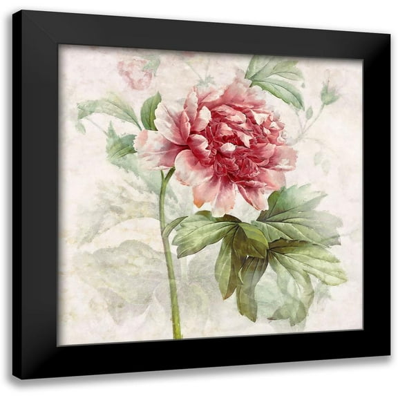 Hunziker, Steve 12x12 Black Modern Framed Museum Art Print Titled - Ruby Floral I