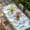 Grey, variant on Seahorse Coastal Table Cloths for 5 Foot Rectangle Tables, Summer Nautical Starfish Coral Ocean Patio Waterproof Elastic Fitted Tablecloths, Washable Rectangular Table Cover for Camping