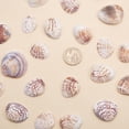thumbnail image 2 of Caja de Aproximadamente 50 Piezas BLESIY variados marinas Con Orificios para joyas, 2 of 8